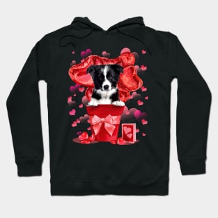 Border Collie Dog In Red Pot Happy Valentine's Day Hoodie